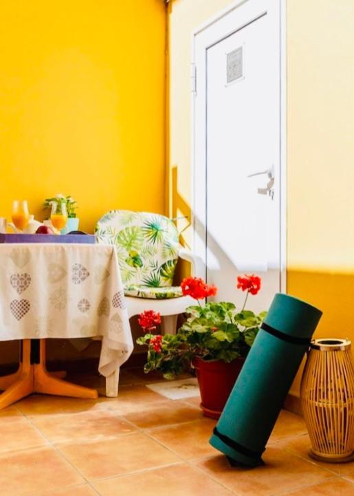 Savoa 247 Apartment Тарахалехо Екстериор снимка